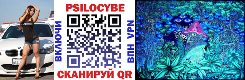 Псилоцибиновые грибы прущие грибы  Нестеров 